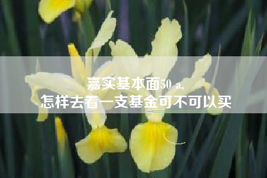 嘉实基本面50 a,
怎样去看一支基金可不可以买