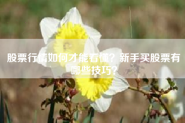 股票行情如何才能看懂？新手买股票有哪些技巧？