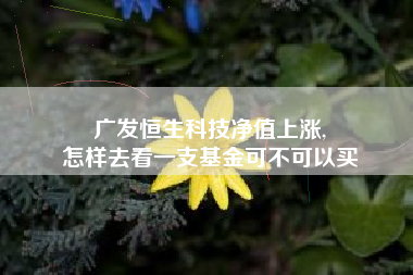 广发恒生科技净值上涨,
怎样去看一支基金可不可以买