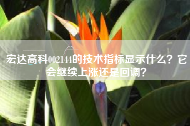宏达高科002144的技术指标显示什么？它会继续上涨还是回调？