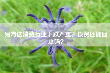 易方达消费行业下跌严重？投资还能回本吗？