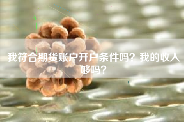 我符合期货账户开户条件吗?我的收入够吗?