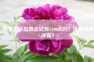 明天上证指数会试探3100点吗？还是继续冲高？