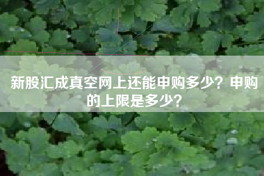 新股汇成真空网上还能申购多少？申购的上限是多少？