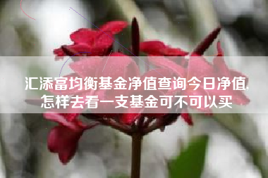 汇添富均衡基金净值查询今日净值,
怎样去看一支基金可不可以买