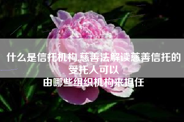 什么是信托机构,慈善法解读慈善信托的受托人可以
由哪些组织机构来担任 什么是信托机构,慈善法解读慈善信托的受托人可以
由哪些组织机构来担任