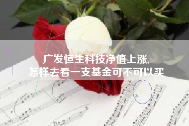 广发恒生科技净值上涨,
怎样去看一支基金可不可以买