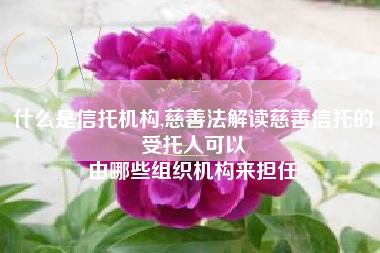 什么是信托机构,慈善法解读慈善信托的受托人可以
由哪些组织机构来担任 什么是信托机构,慈善法解读慈善信托的受托人可以
由哪些组织机构来担任