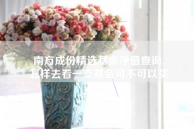 南方成份精选基金净值查询,
怎样去看一支基金可不可以买
