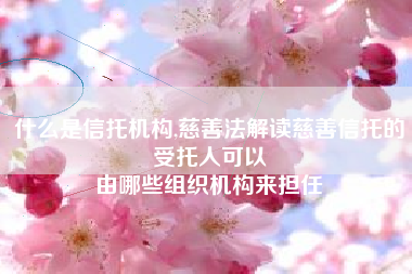 什么是信托机构,慈善法解读慈善信托的受托人可以
由哪些组织机构来担任 什么是信托机构,慈善法解读慈善信托的受托人可以
由哪些组织机构来担任