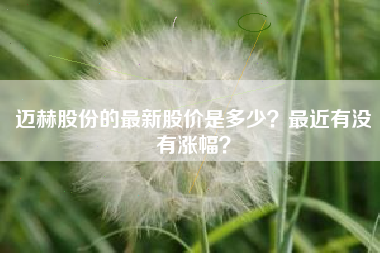 迈赫股份的最新股价是多少?最近有没有涨幅?
