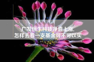 广发恒生科技净值上涨,
怎样去看一支基金可不可以买