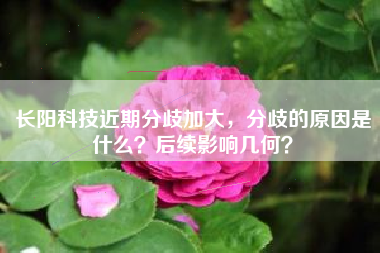 长阳科技近期分歧加大，分歧的原因是什么？后续影响几何？