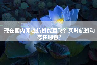 现在国内哪趟航班能直飞？实时航班动态在哪看？