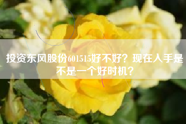 投资东风股份601515好不好？现在入手是不是一个好时机？