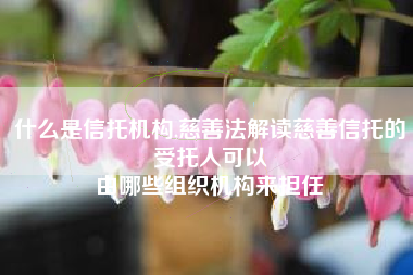 什么是信托机构,慈善法解读慈善信托的受托人可以
由哪些组织机构来担任 什么是信托机构,慈善法解读慈善信托的受托人可以
由哪些组织机构来担任