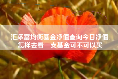 汇添富均衡基金净值查询今日净值,
怎样去看一支基金可不可以买