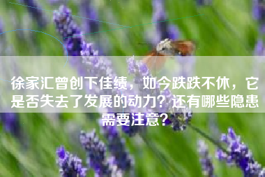 徐家汇曾创下佳绩，如今跌跌不休，它是否失去了发展的动力？还有哪些隐患需要注意？