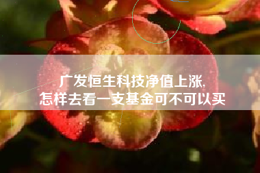 广发恒生科技净值上涨,
怎样去看一支基金可不可以买