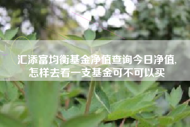汇添富均衡基金净值查询今日净值,
怎样去看一支基金可不可以买
