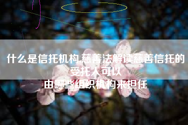 什么是信托机构,慈善法解读慈善信托的受托人可以
由哪些组织机构来担任 什么是信托机构,慈善法解读慈善信托的受托人可以
由哪些组织机构来担任