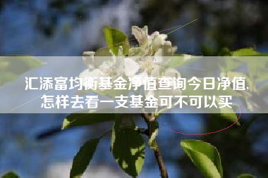 汇添富均衡基金净值查询今日净值,
怎样去看一支基金可不可以买