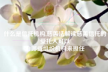 什么是信托机构,慈善法解读慈善信托的受托人可以
由哪些组织机构来担任 什么是信托机构,慈善法解读慈善信托的受托人可以
由哪些组织机构来担任