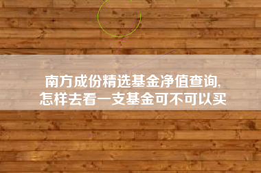 南方成份精选基金净值查询,
怎样去看一支基金可不可以买