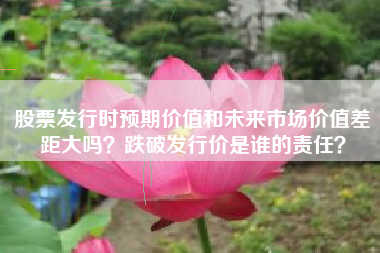 股票发行时预期价值和未来市场价值差距大吗？跌破发行价是谁的责任？