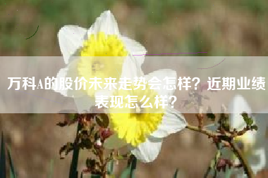 万科A的股价未来走势会怎样？近期业绩表现怎么样？