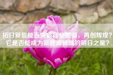拓日新能能否突破行业瓶颈,再创辉煌?它是否能成为新能源领域的明日之星?