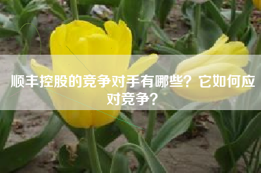 顺丰控股的竞争对手有哪些？它如何应对竞争？