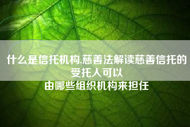 什么是信托机构,慈善法解读慈善信托的受托人可以
由哪些组织机构来担任 什么是信托机构,慈善法解读慈善信托的受托人可以
由哪些组织机构来担任