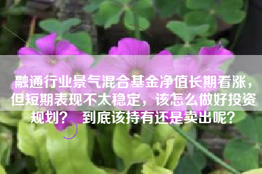 融通行业景气混合基金净值长期看涨，但短期表现不太稳定，该怎么做好投资规划？  到底该持有还是卖出呢？