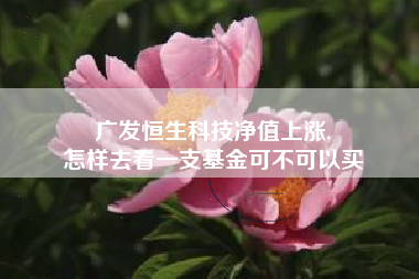 广发恒生科技净值上涨,
怎样去看一支基金可不可以买