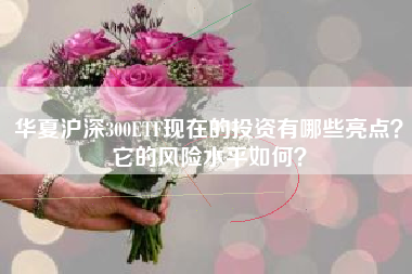 华夏沪深300ETF现在的投资有哪些亮点？它的风险水平如何？