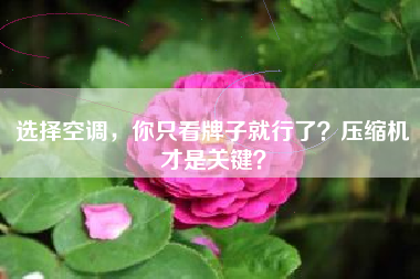 选择空调,你只看牌子就行了?压缩机才是关键?