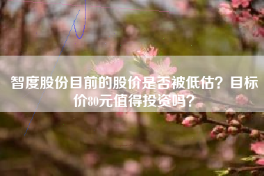 智度股份目前的股价是否被低估?目标价80元值得投资吗?