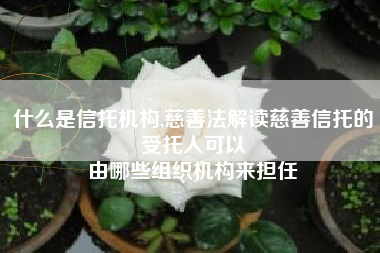 什么是信托机构,慈善法解读慈善信托的受托人可以
由哪些组织机构来担任 什么是信托机构,慈善法解读慈善信托的受托人可以
由哪些组织机构来担任