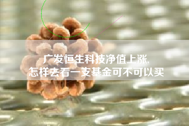 广发恒生科技净值上涨,
怎样去看一支基金可不可以买