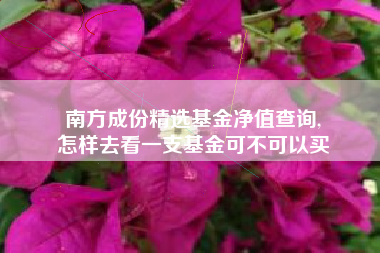 南方成份精选基金净值查询,
怎样去看一支基金可不可以买