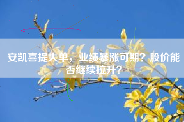 安凯喜提大单，业绩暴涨可期？股价能否继续拉升？