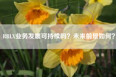 RBLX业务发展可持续吗？未来前景如何？