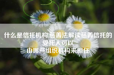 什么是信托机构,慈善法解读慈善信托的受托人可以
由哪些组织机构来担任 什么是信托机构,慈善法解读慈善信托的受托人可以
由哪些组织机构来担任