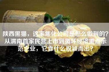 陕西黑猫,这家焦化公司是怎么做到的?从渭南首家民营上市到循环经济重点示范企业,它靠什么脱颖而出?