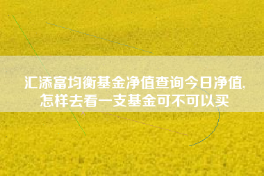汇添富均衡基金净值查询今日净值,
怎样去看一支基金可不可以买