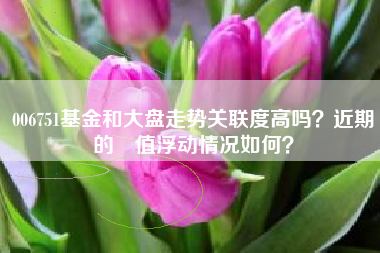006751基金和大盘走势关联度高吗？近期的淨值浮动情况如何？