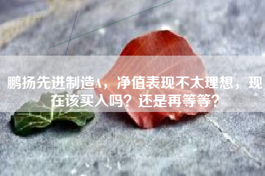 鹏扬先进制造A，净值表现不太理想，现在该买入吗？还是再等等？