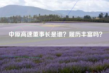 中原高速董事长是谁？履历丰富吗？