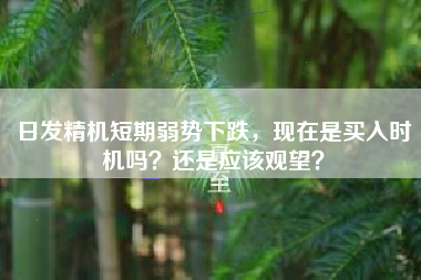 日发精机短期弱势下跌，现在是买入时机吗？还是应该观望？